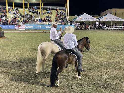 46th Traditional Horse Fair