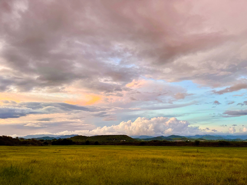 Sundown Splendor