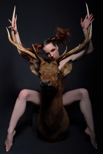 The Elk, 1