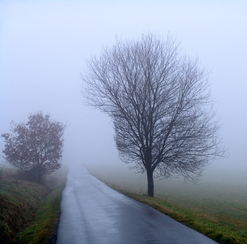 Foggy afternoon