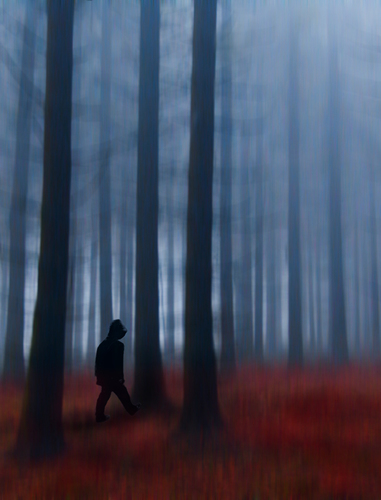 In the woods
