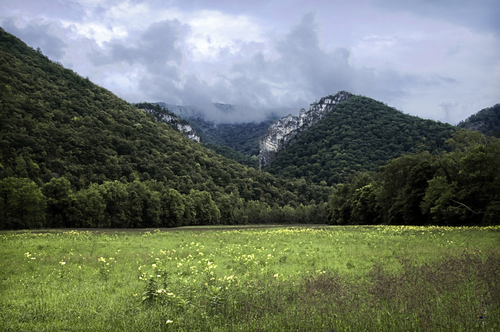 Champe Rocks - Meadow