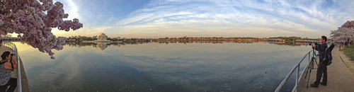 Tidal Basin Photographic Crossfire