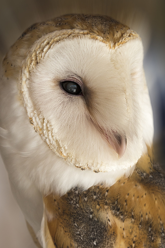 Ready For My Close-up