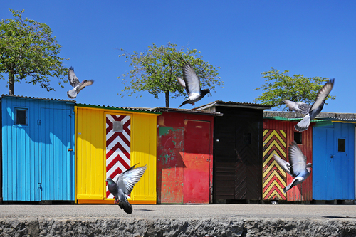 Colorful Huts At The Harbor