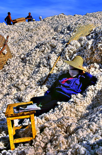 Cotton