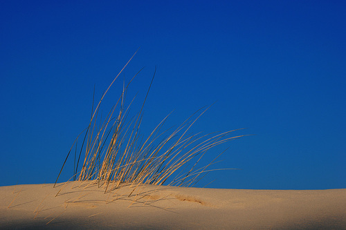 yellow in blue