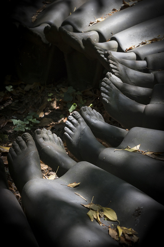 Feet