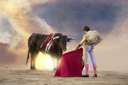The Bullfight