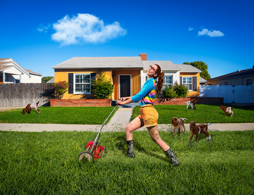 Mow Better Day