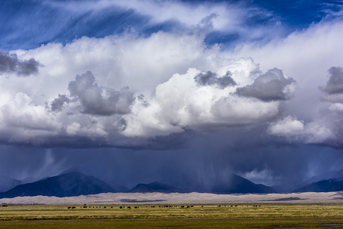 Storm Over Bison