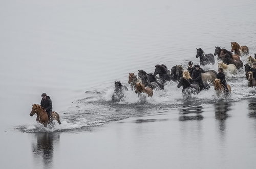 The Crossing