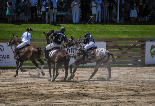 The Polo Match