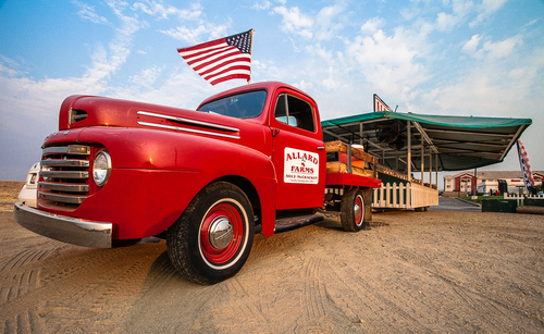 The Great American Fruit Stand