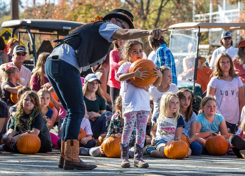 Pumpkin Roller