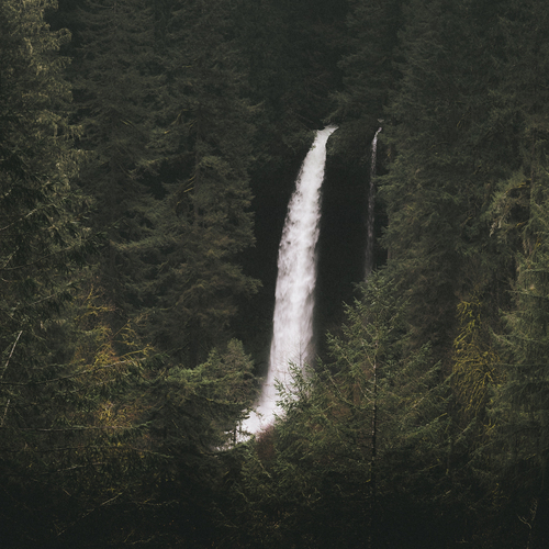 Free Fall