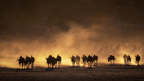 Dry Desert Sunrise