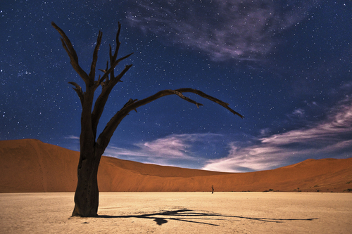 Desert ghosts