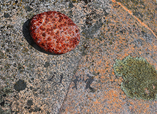 Rock Secrets 5