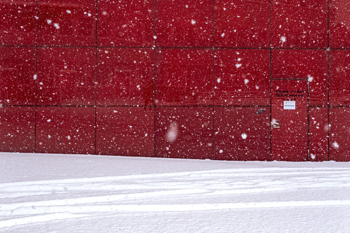 Red & white