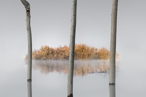 Jailed nature