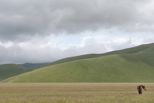 Linear landscape