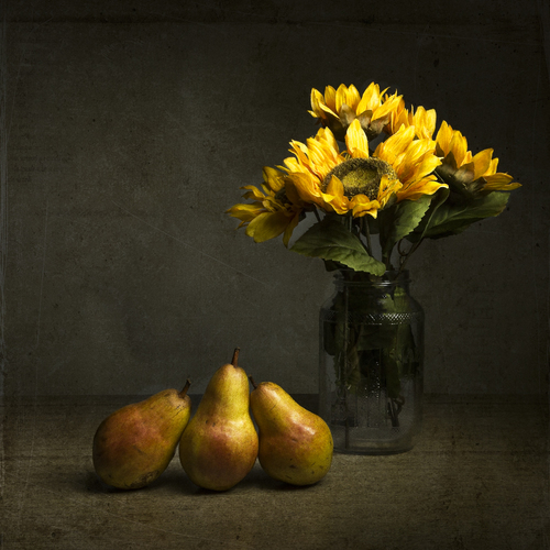 Ode to the Dutch Masters