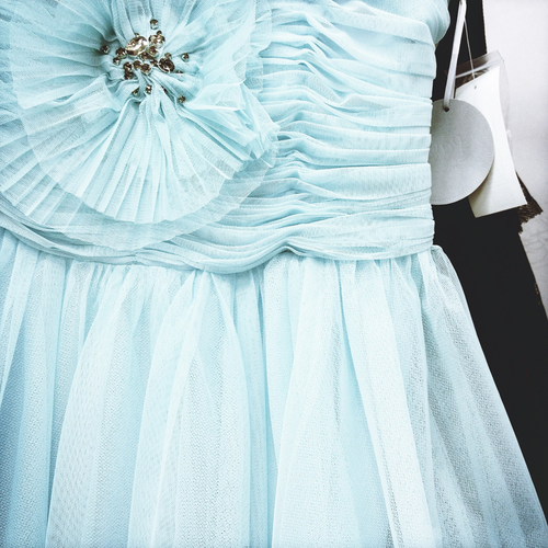 Blue Rosette