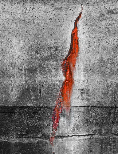 Emergence