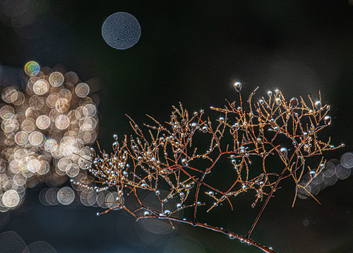 In the rain