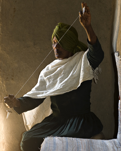 The Cotton Spinner