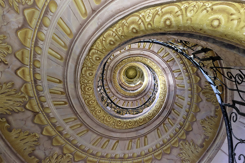 Looking Up
