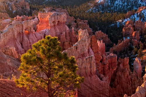 Canyon