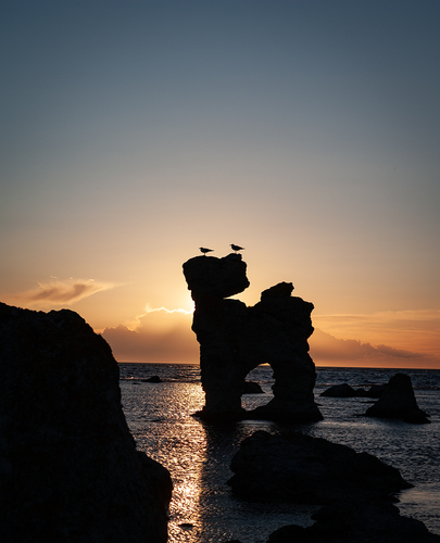 Sea stack, The Dog