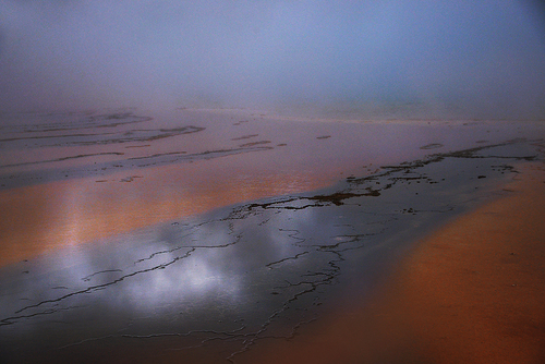 Untitled 12