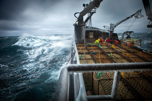 Deadliest Catch
