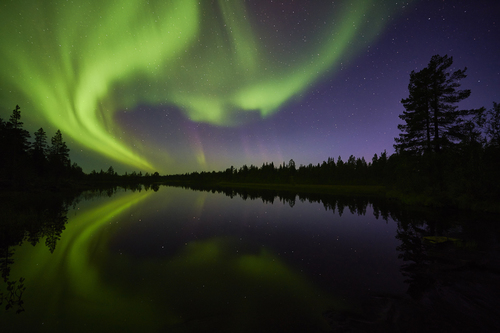 Aurora 1