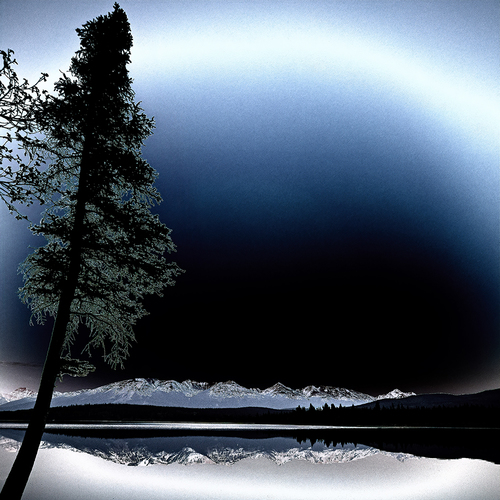 Lone Tree