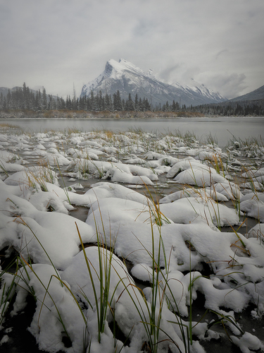 First Snow