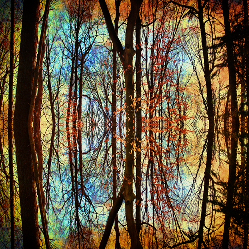 Wildwood 2
