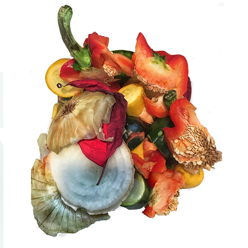 Compost Art
