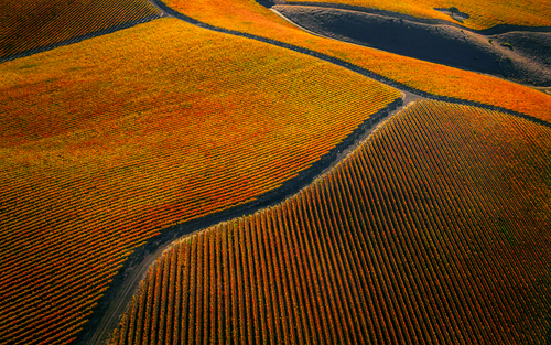 Soft Autumn Grid