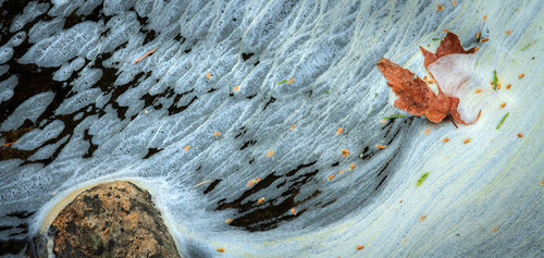 Swept Up In Autumn
