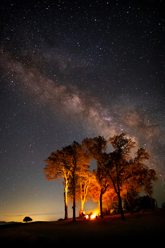 Solitude & Serenity