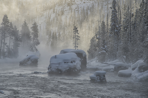 Yellowstone Misty River