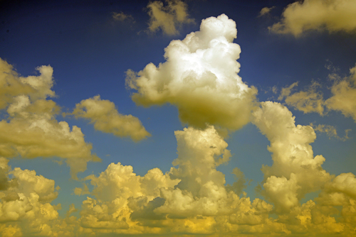 Mushroom Cloud