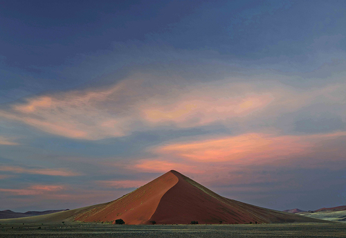 Dune 49