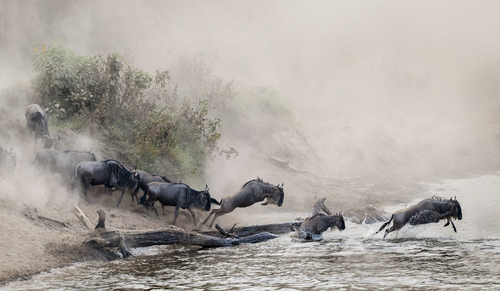 The river crossing