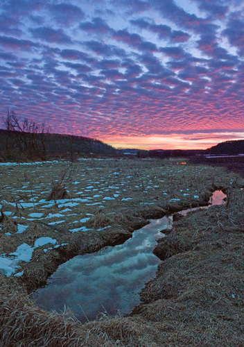 Marshland Twilight
