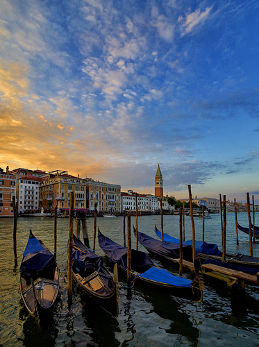 Venice 5